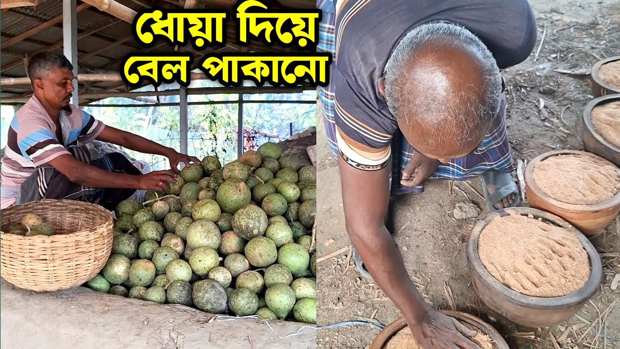 How to ripen a raw wood apple #entertainment #food #trending 