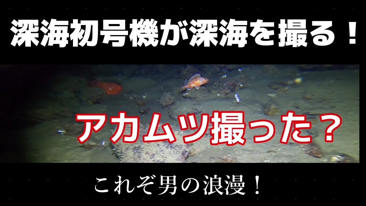 深海水深320ｍアカムツ撮れたか？深海初号機！これが男の浪漫！深海を撮る！vol 4