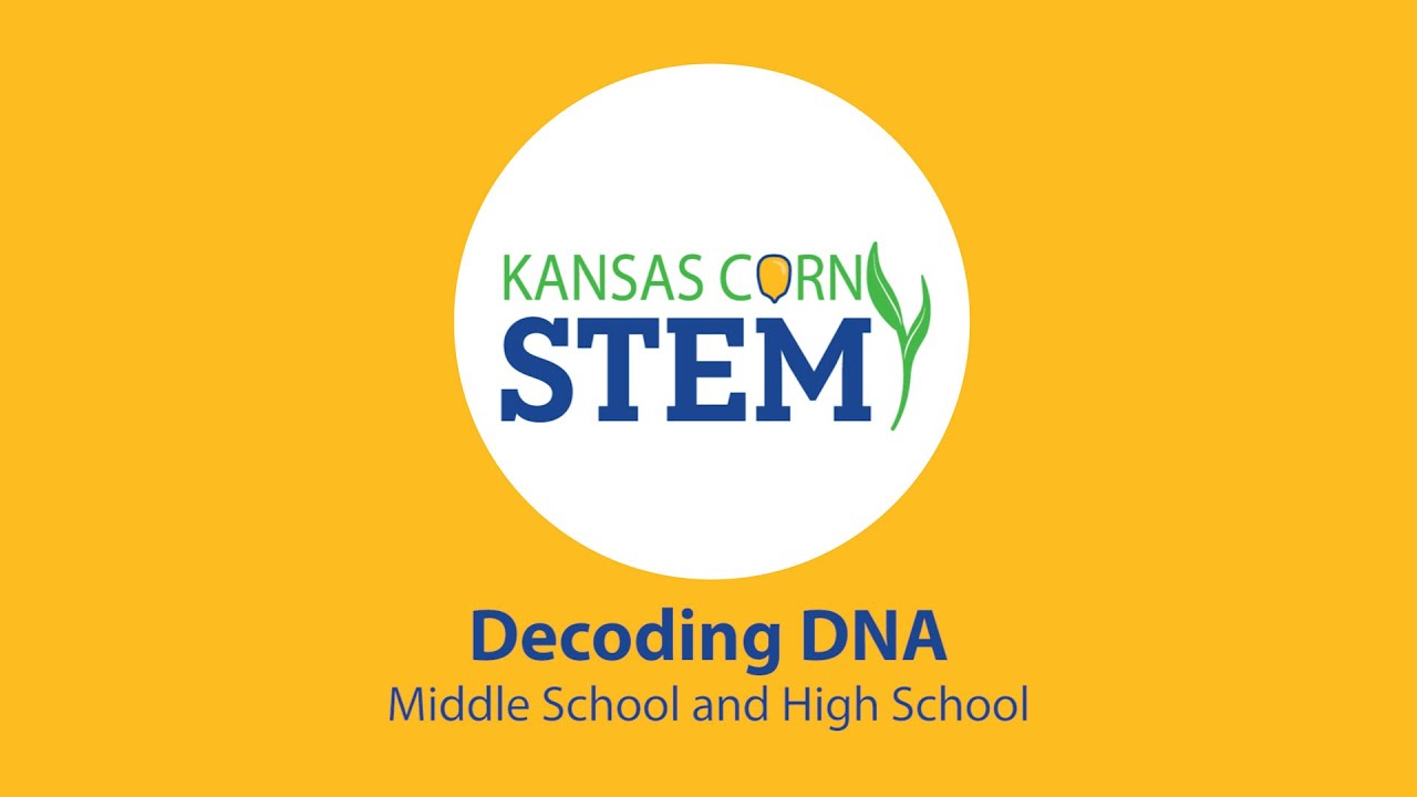Decoding DNA, Seed to STEM Middle School and High School workshop, led by Shelly Robinson