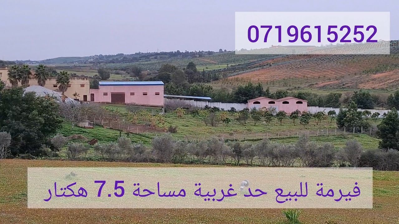 فيرمة محفضة للبيع حد غربية مساحة  7  هكتار ونصف الهاتف للمزيد من المعلومات 📱 ☎️  0719615252