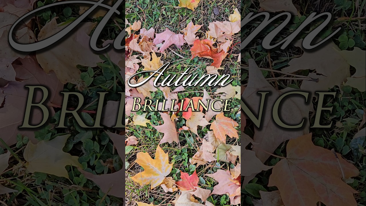 Autumn Brilliance - Gentle Breeze