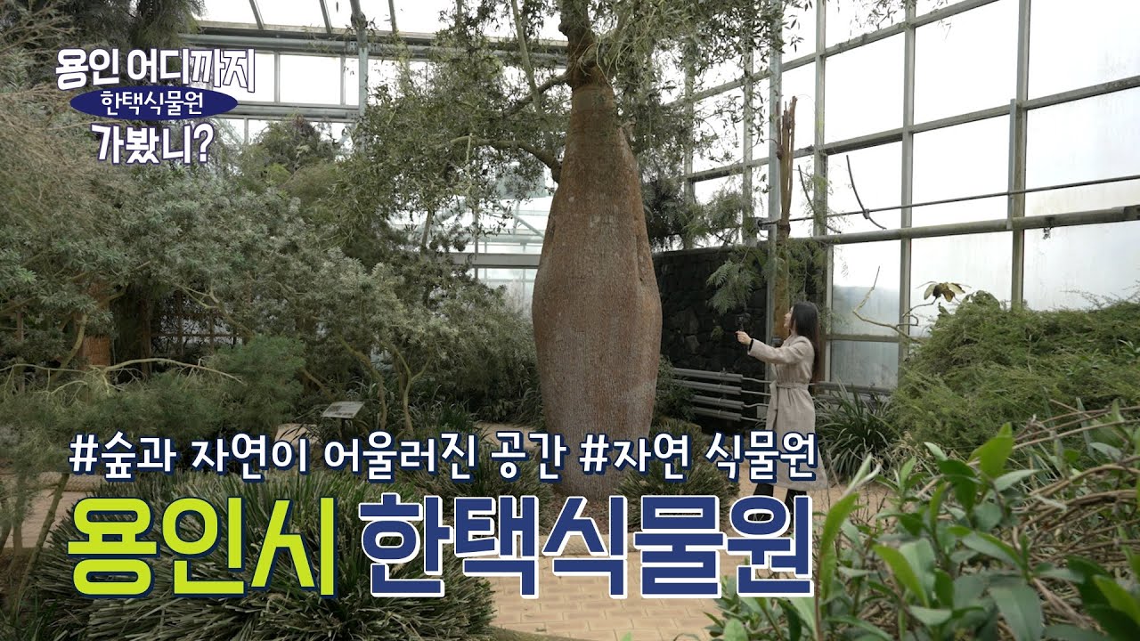 이렇게 힐링된다고? 한택식물원 리얼 체험기 | 용인 어디까지 가봤니? [한택식물원편]