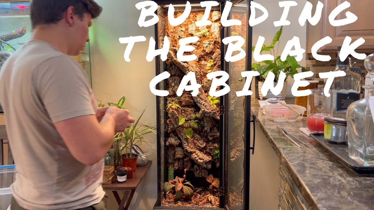 I Built A Custom Vivarium Cabinet