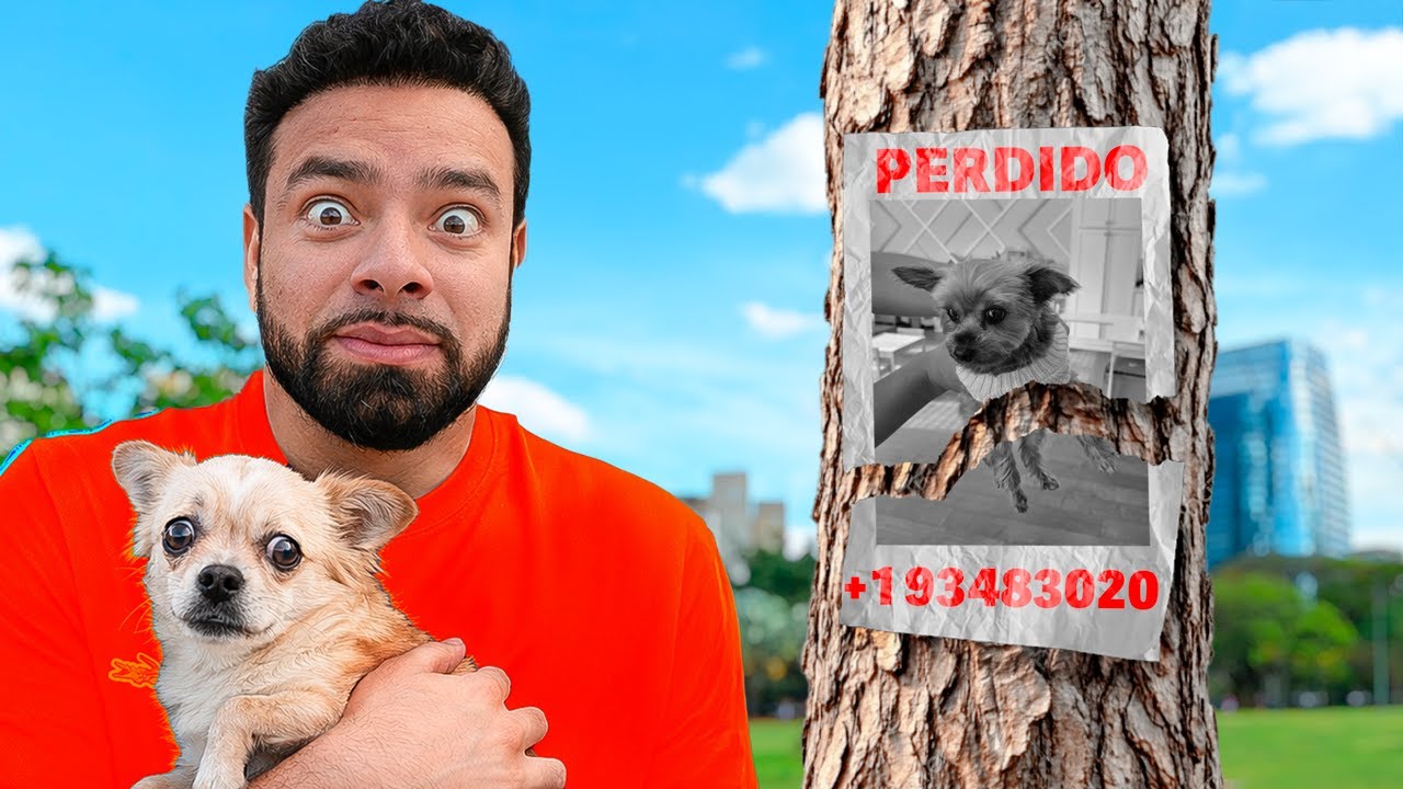 ENCONTRAMOS UN PERRITO Y ESTAMOS BUSCANDO SU DUEÑO