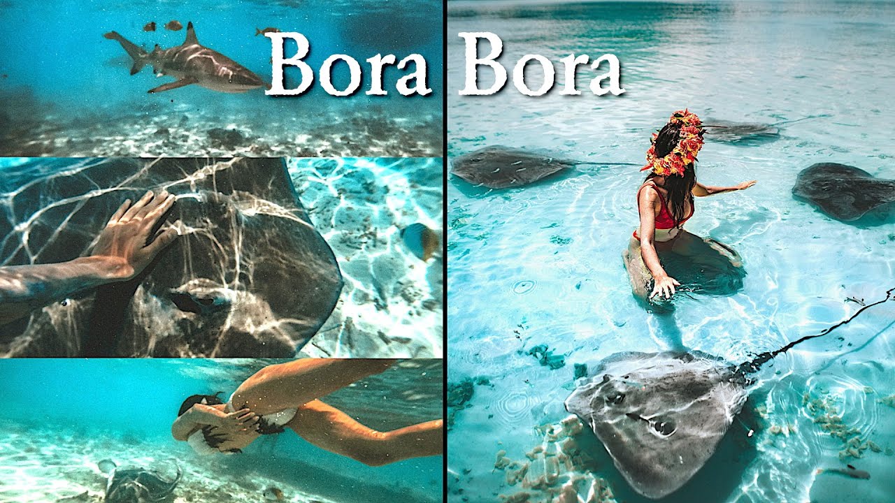 Am inotat cu rechini in BORA BORA