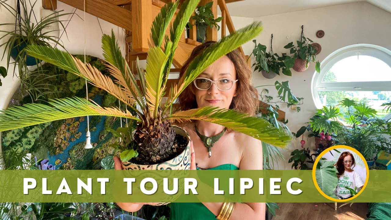 Roślinne aktualizacje Plant Tour Lipiec Moje rośliny domowe