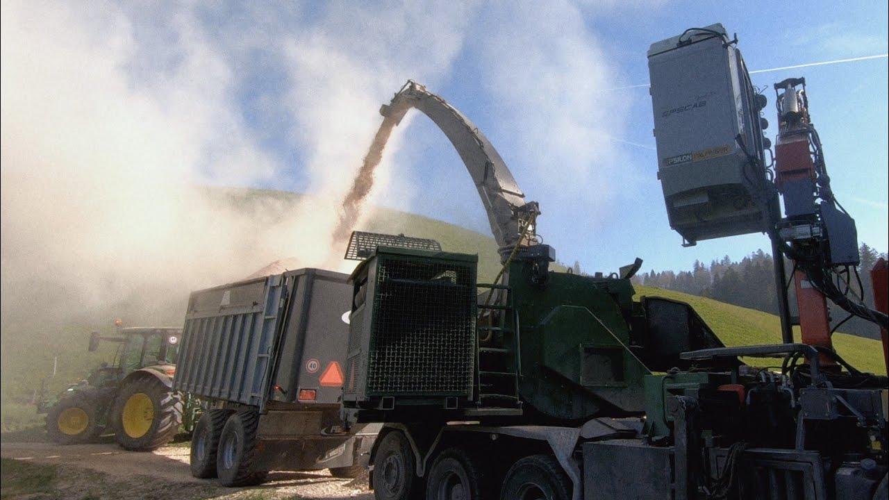 Eine staubige Angelegenheit | Holzhacken 2025 | Wüst Hacker HD-810 🐗 Hirschrudel im Einsatz