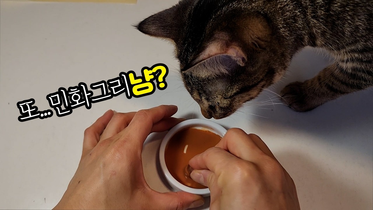 민화재료소개 그리고 민화 그려보기....미국에서 그릴수있을까? 있습니다~시작해보세요~