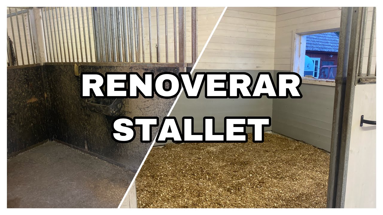 RENOVERAR OCH TVÄTTAR HELA STALLET