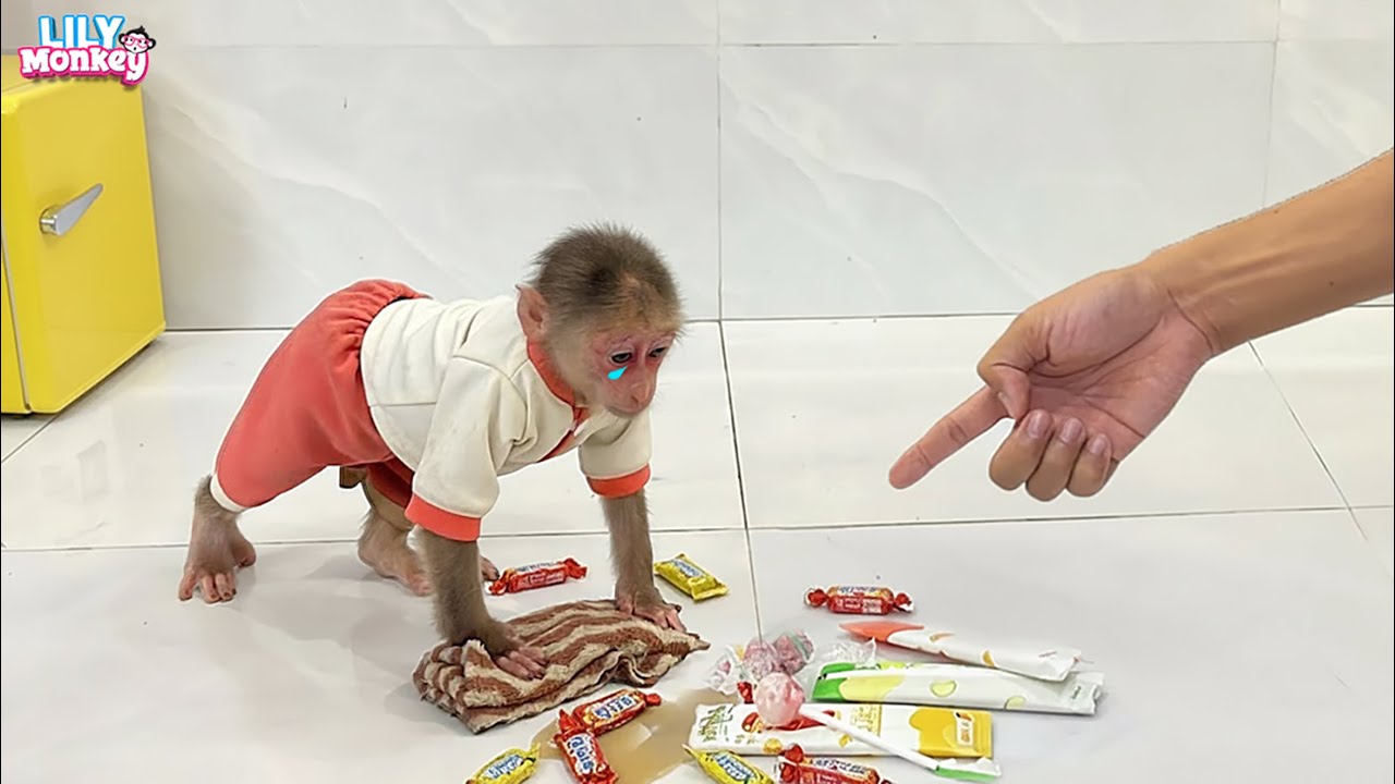Oh no! Lily was being naughty and Dad found out… and then… | Lily's story
