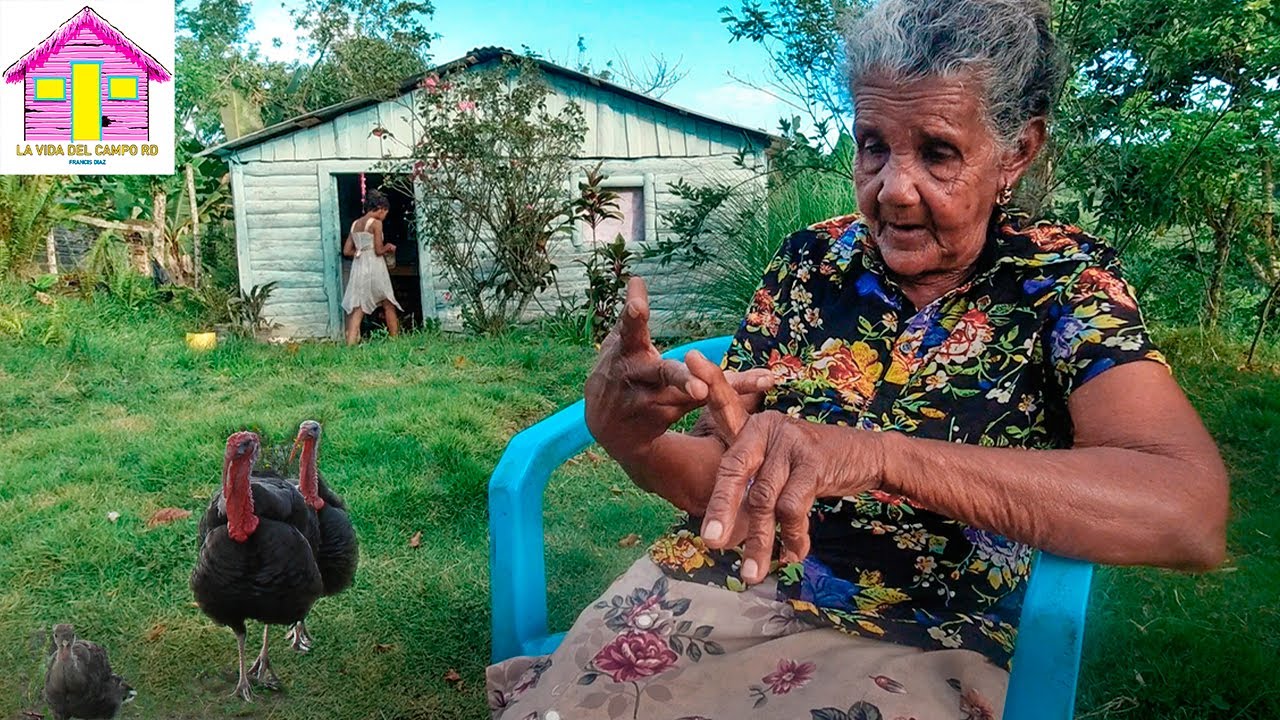 HERMOSO CAMPO DOMINICANO ADORNADO CON LAS DECIMAS DE PIFIA LA VIDA DEL CAMPO