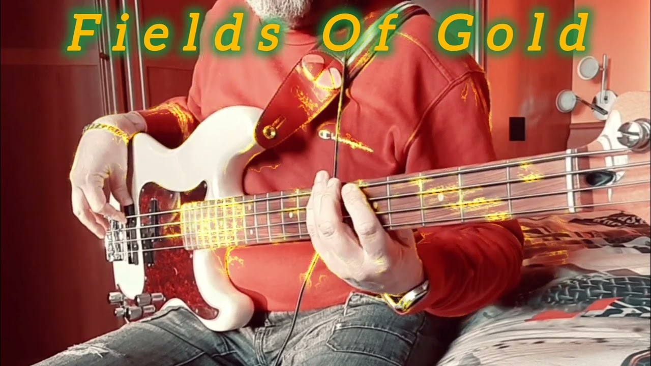Fields Of Gold #basscover #bass #sting