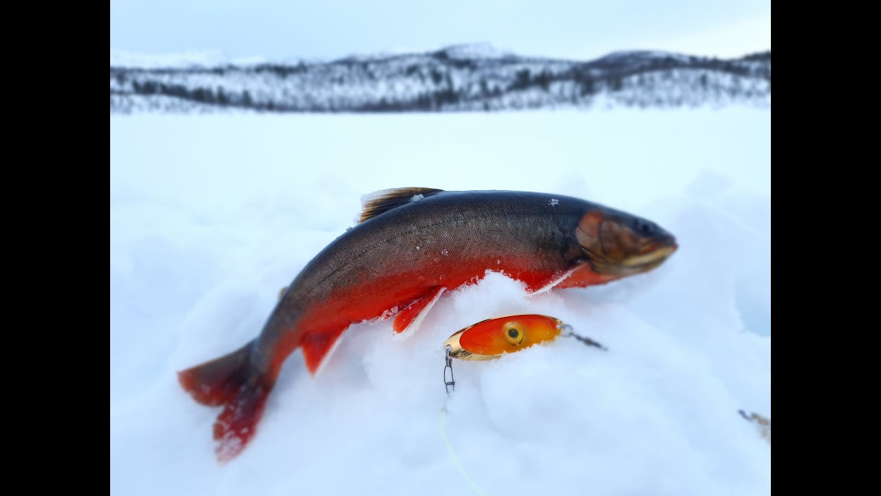FISKERESA VECKA 9 - Del 1 av 3