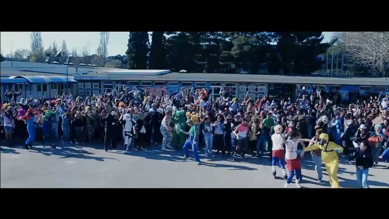 Carnaval Joliot Curie 2013 + Harlem Shake