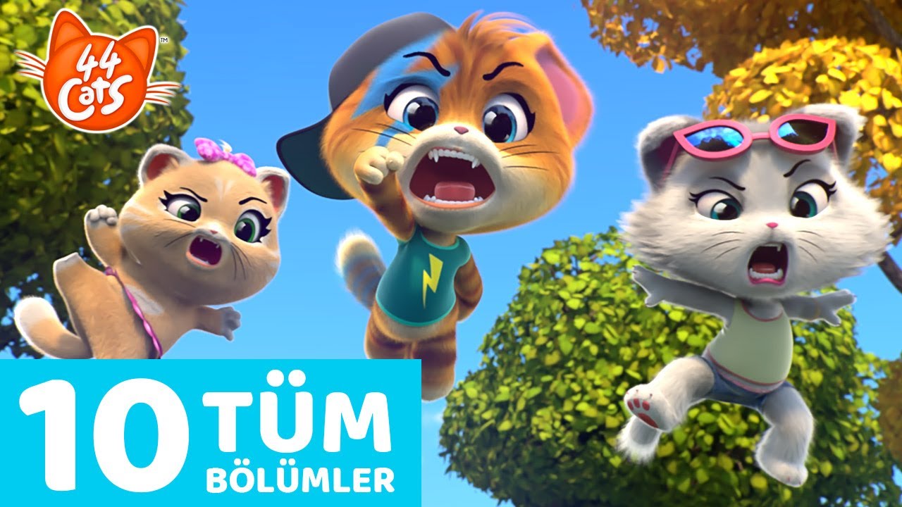 44 Kedi | 10 Bölümün tamamı 🧶🐈 | Kedikulade 1. Sezondan Derleme #2