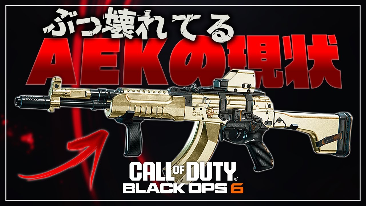 【COD:BO6】あまりに強過ぎるAEKの現状について【ええ加減にしてくれ】