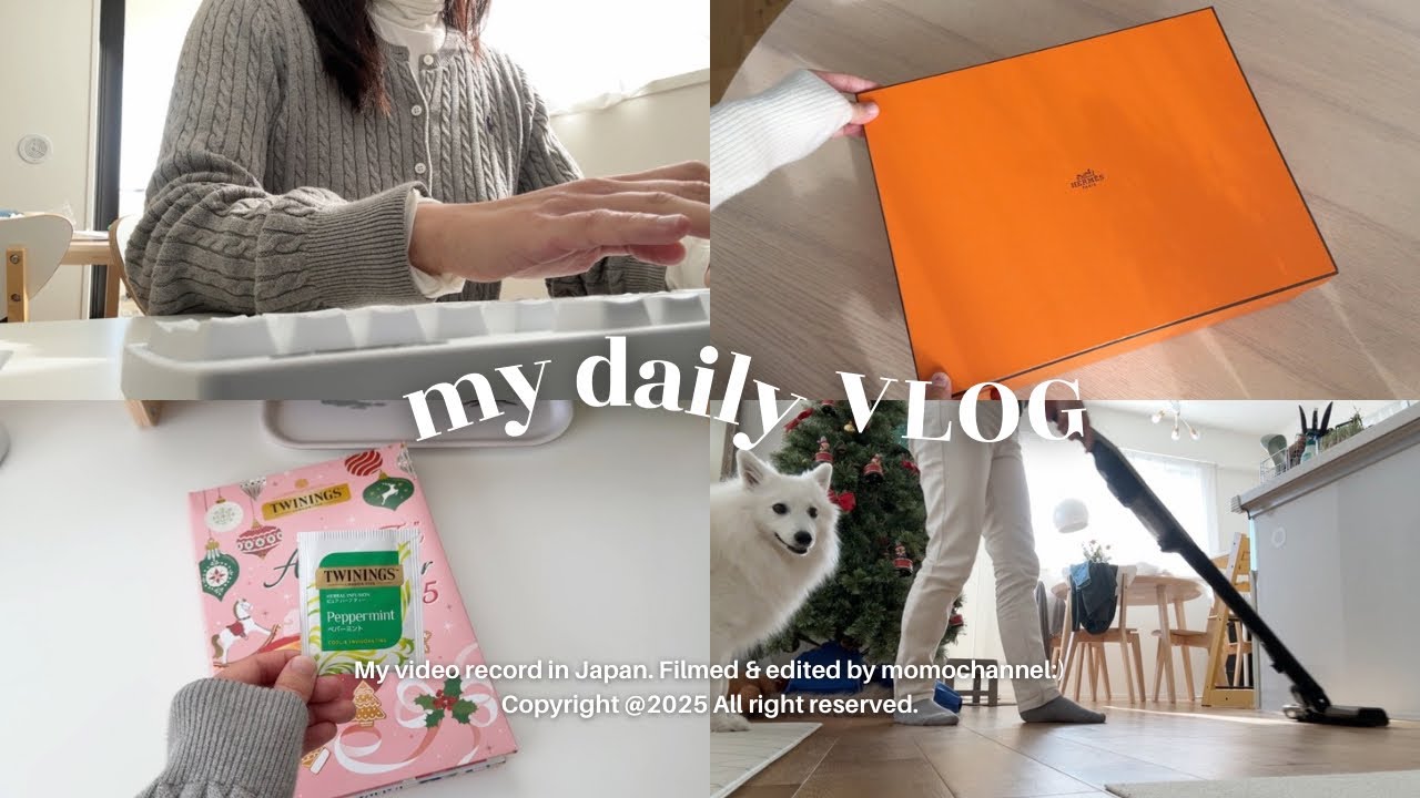 【vlog】27歳社会人の平日vlog🌲エルメス開封👜｜今の働き方、仕事×家事のリアル｜クリスマス準備🎅|おうちカフェ☕️|