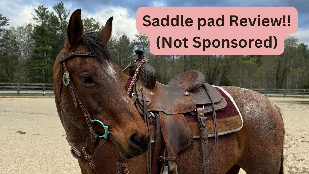 The Best Saddle Pad Brands and Why!!