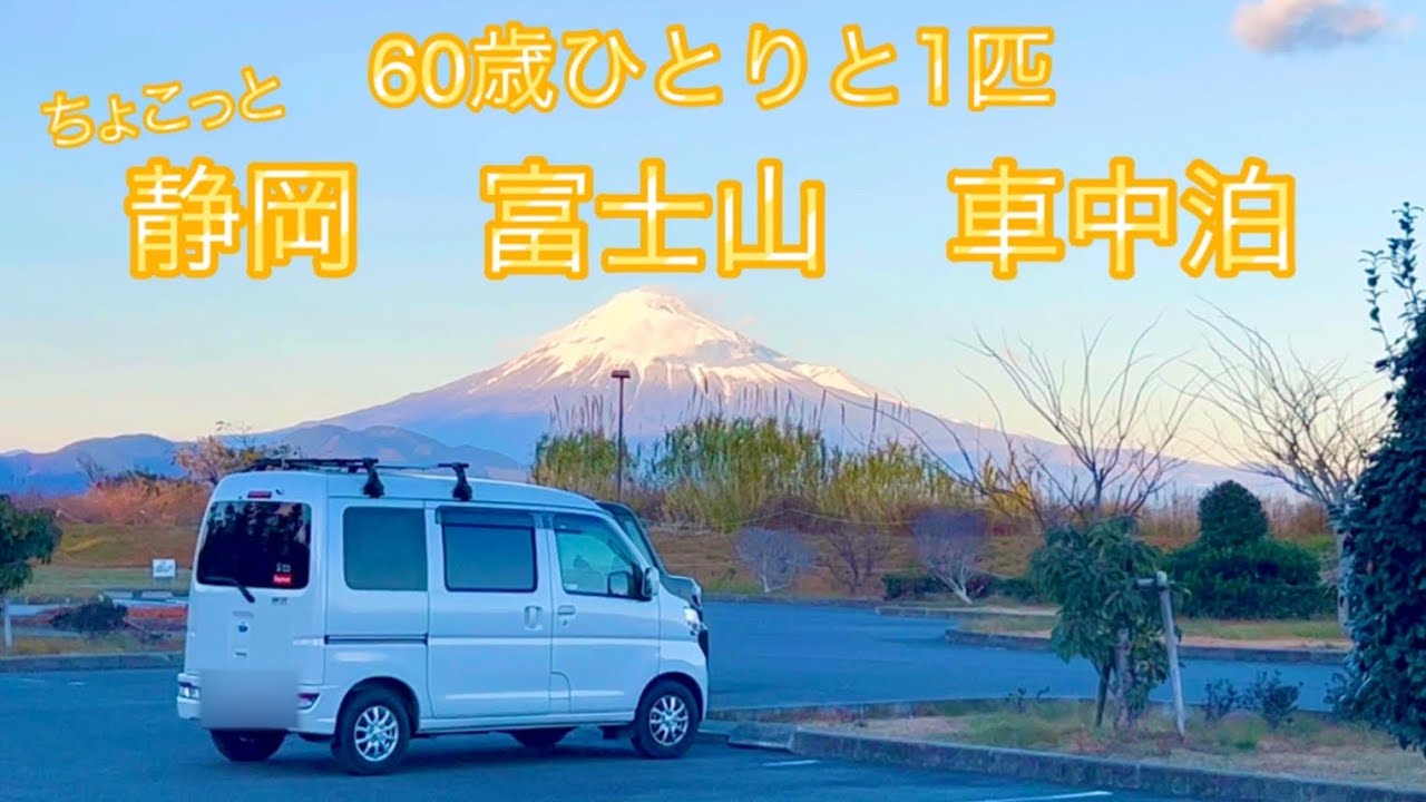 【車中泊】SA-キャンプ場-道の駅-温泉を愛犬と行きあたりばったり旅したお話