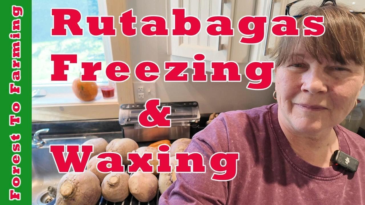 Rutabagas Freezing & Waxing