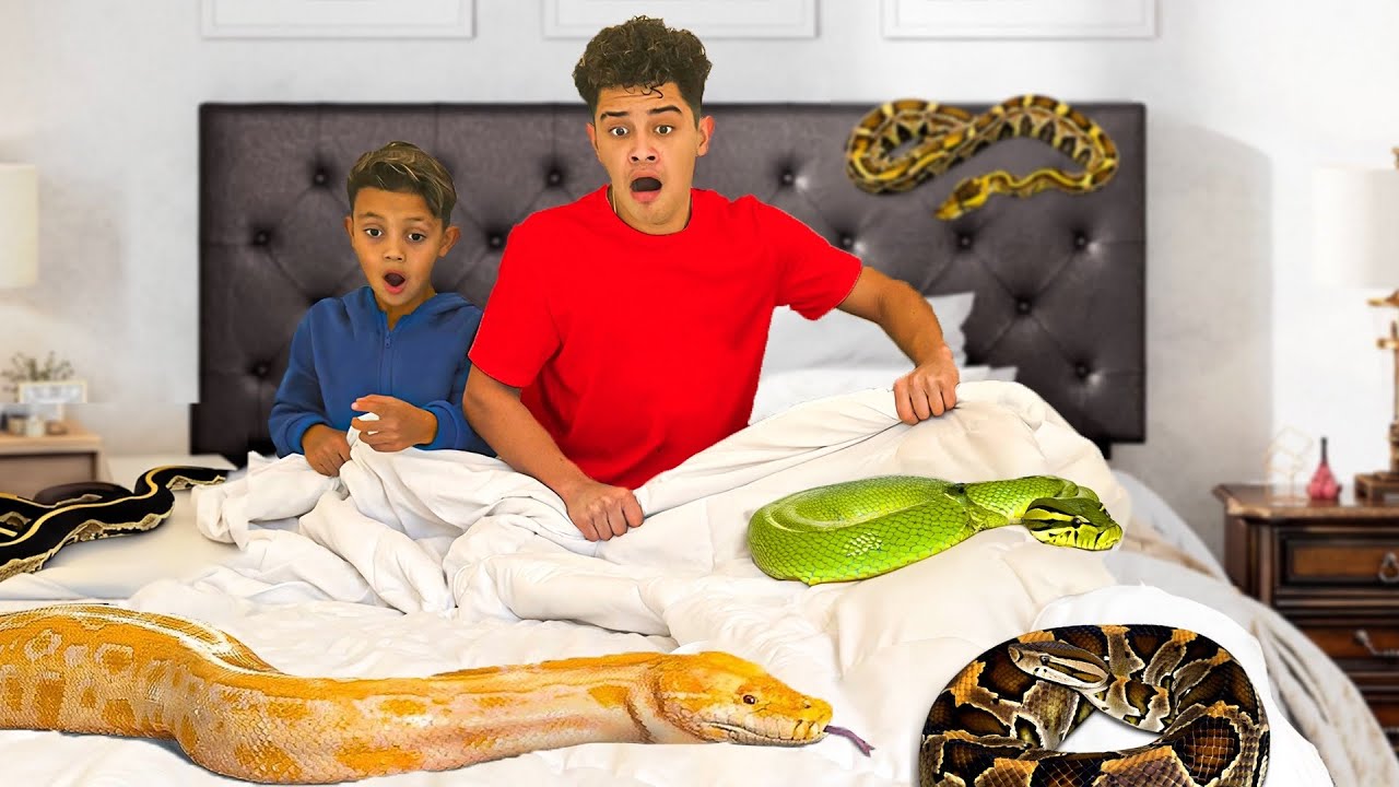 We Found a SNAKE in our K!ds Room!