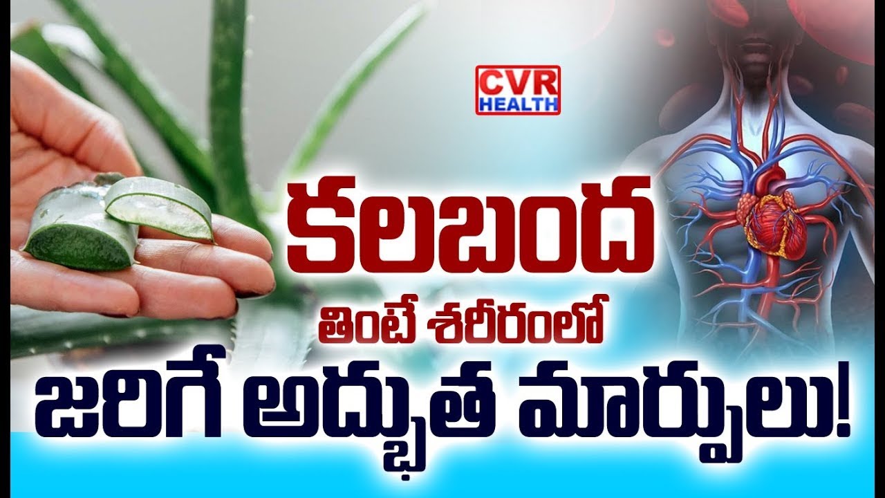 అలొవెరా తింటే శరీరాన్ని డిటాక్స్ చేసేలా పనిచేస్తుందా? | Aloe Vera for Health | CVR Health News