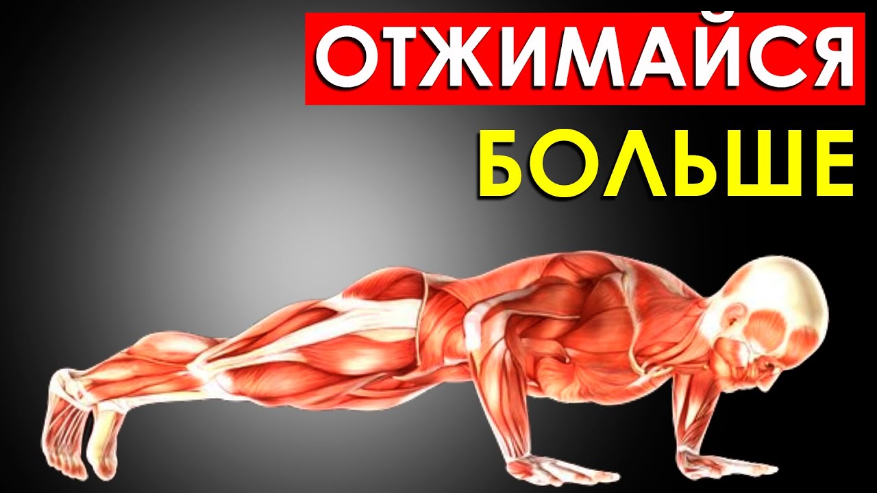 Как Увеличить Количество Отжиманий? Этот Способ Удвоит Твои Отжимания