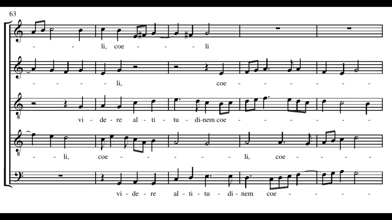 Byrd: Peccavi super numerum - Cardinall's Musick