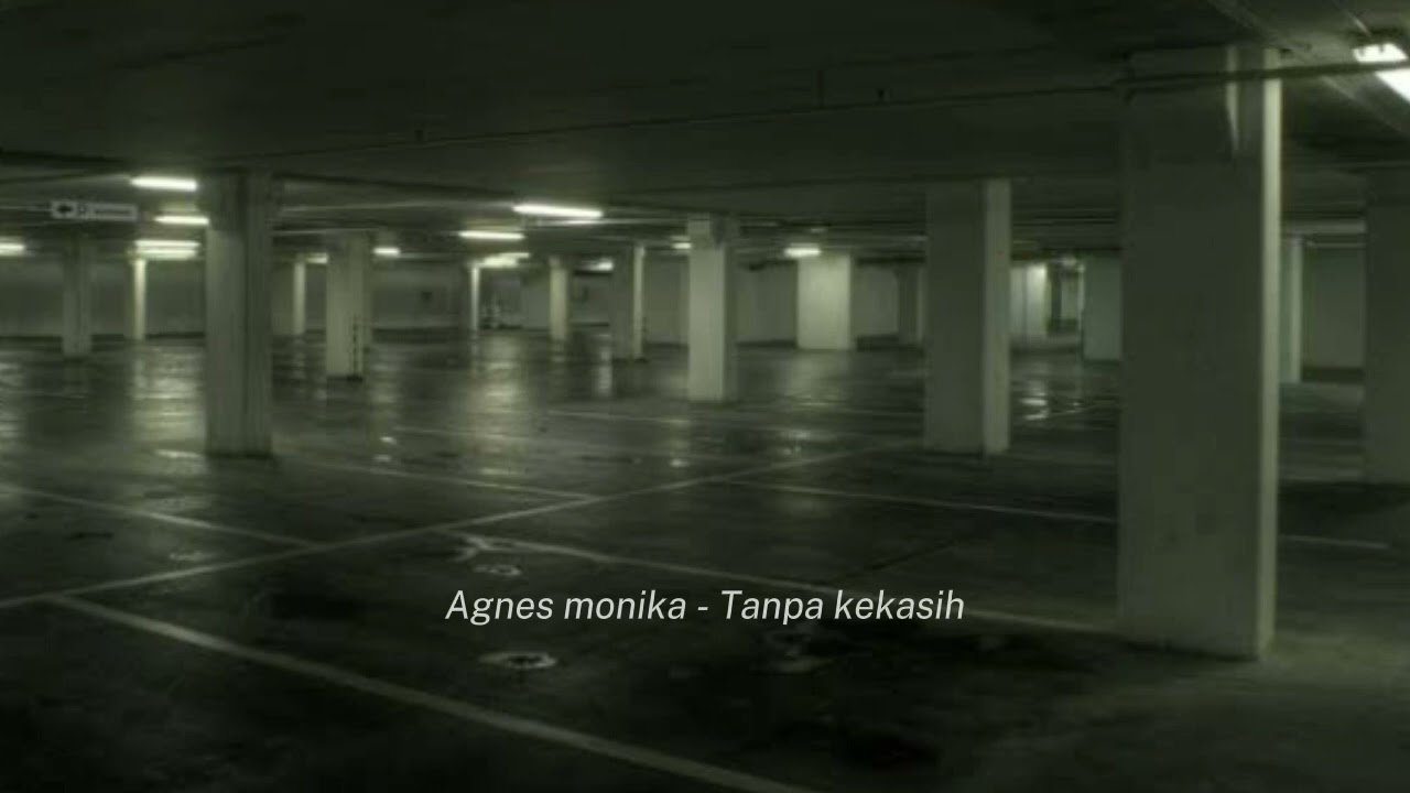 Agnes monika -  Tanpa kekasih \\ speed up