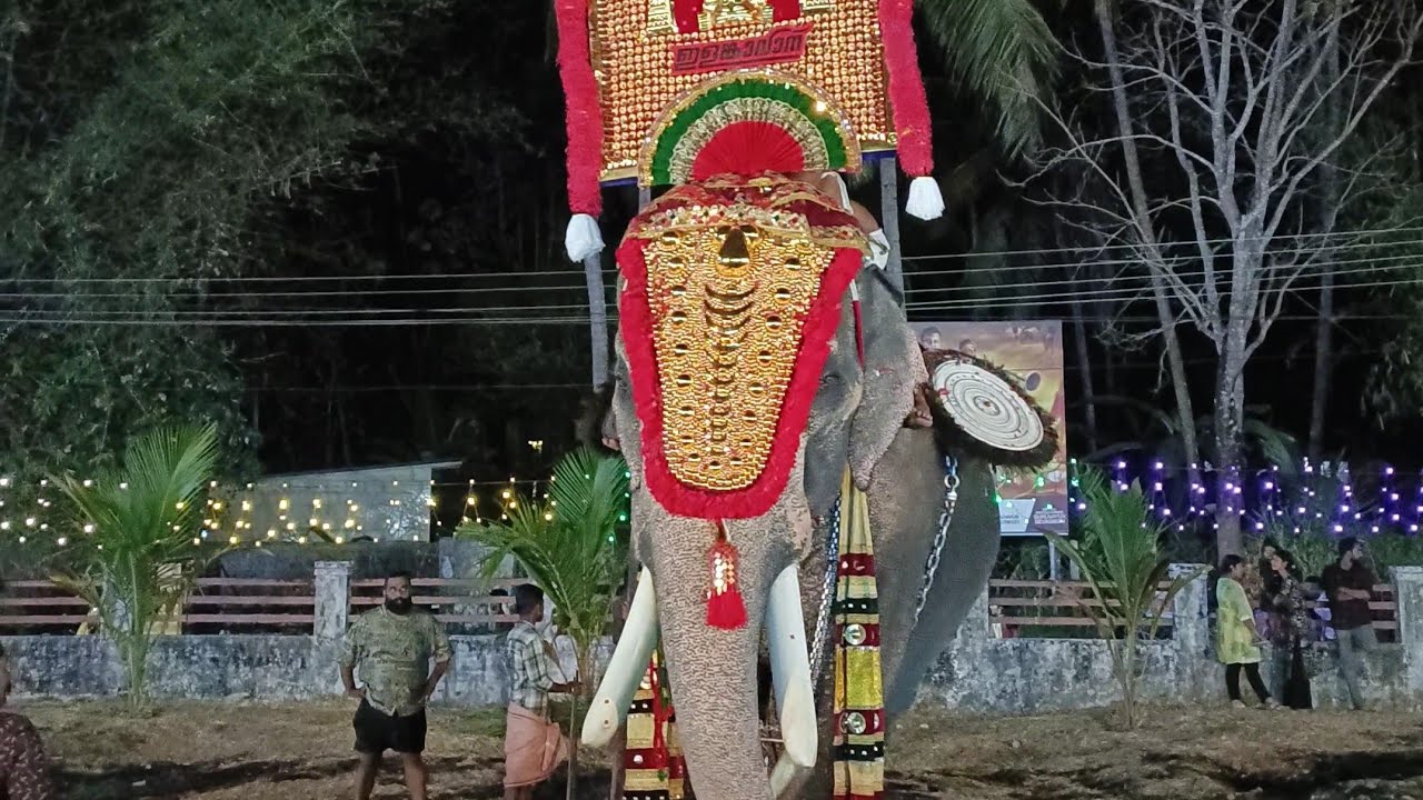 #live ഇത്തിത്താനം വിഷ്ണുനാരായണ്ണൻ 💥ithithanam vishnunarayanan| thiruvenkidom temple guruvayur