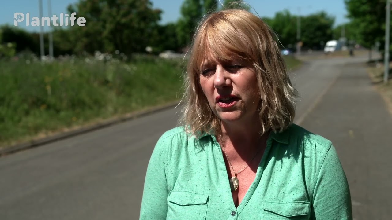 Managing Roadside Verges as Wildlife Corridors: Inspiration for Local Authorities