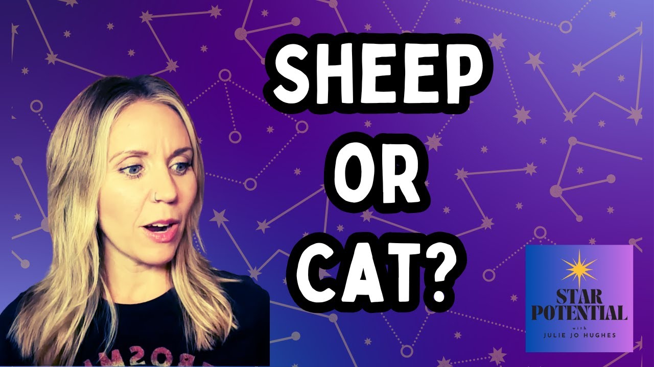 Are You a Sheep or a Cat? | Trusting Yourself Instead of Following the Herd | Star Potential S2E3