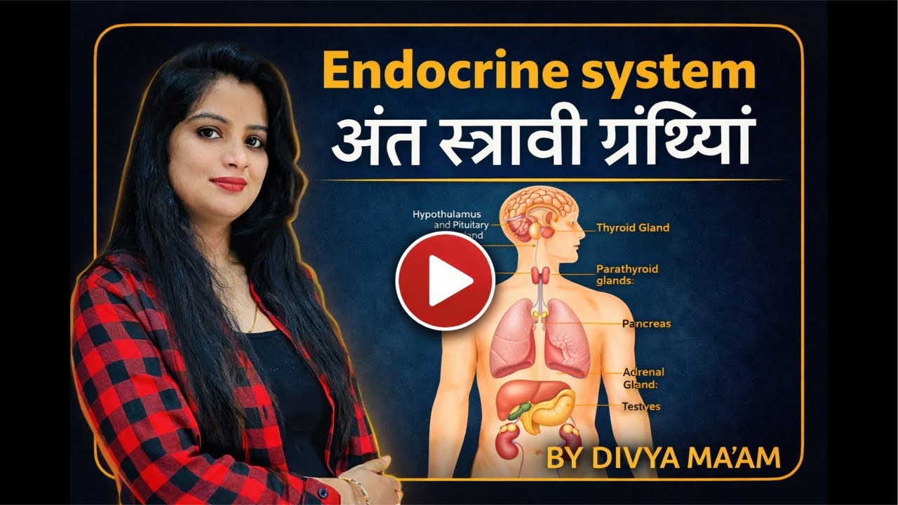 Endocrine glands ( अंतः स्त्रावी ग्रंथियां)