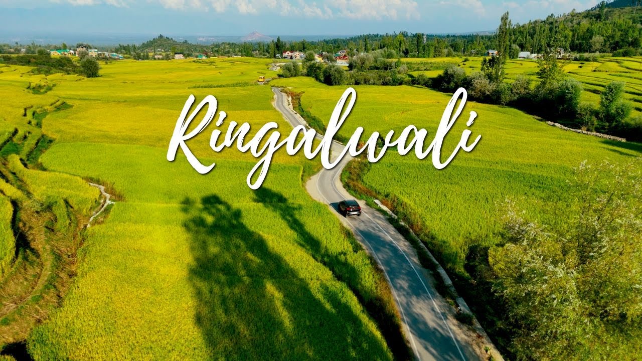 Ringalwali: A Breathtaking Journey Through Kashmir&rsquo;s Landscapes