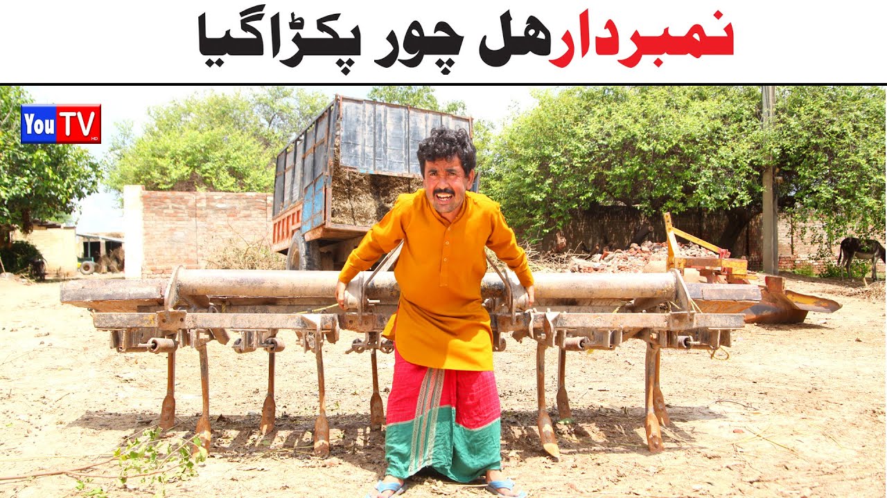 Number Daar Hal Chor Pkra Gya | Top Funny Video | New Funny Punjabi Comedy Video 2024 | You Tv HD