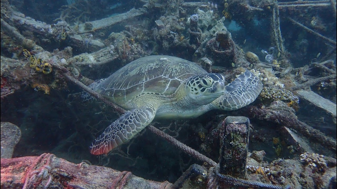 SIPADAN 14 AGOSTO 2025 FULLHD VIDEO RESUMEN