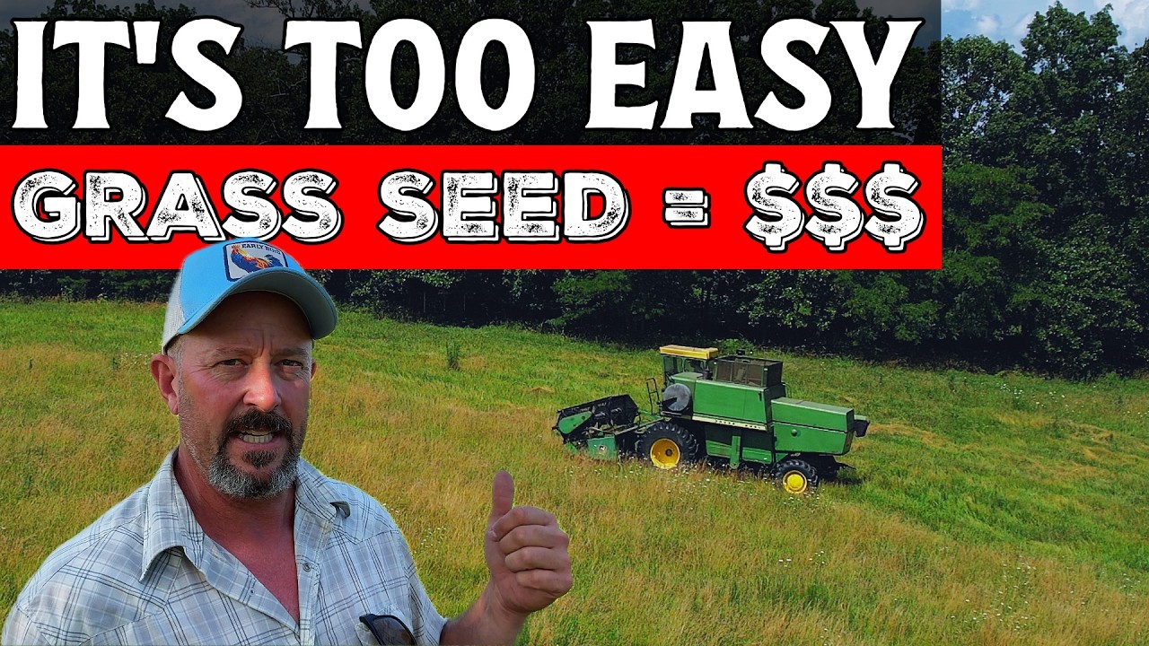 Harvesting Grass Seed: Put extra money in your pocket! Benefits that no one‘s talking about.