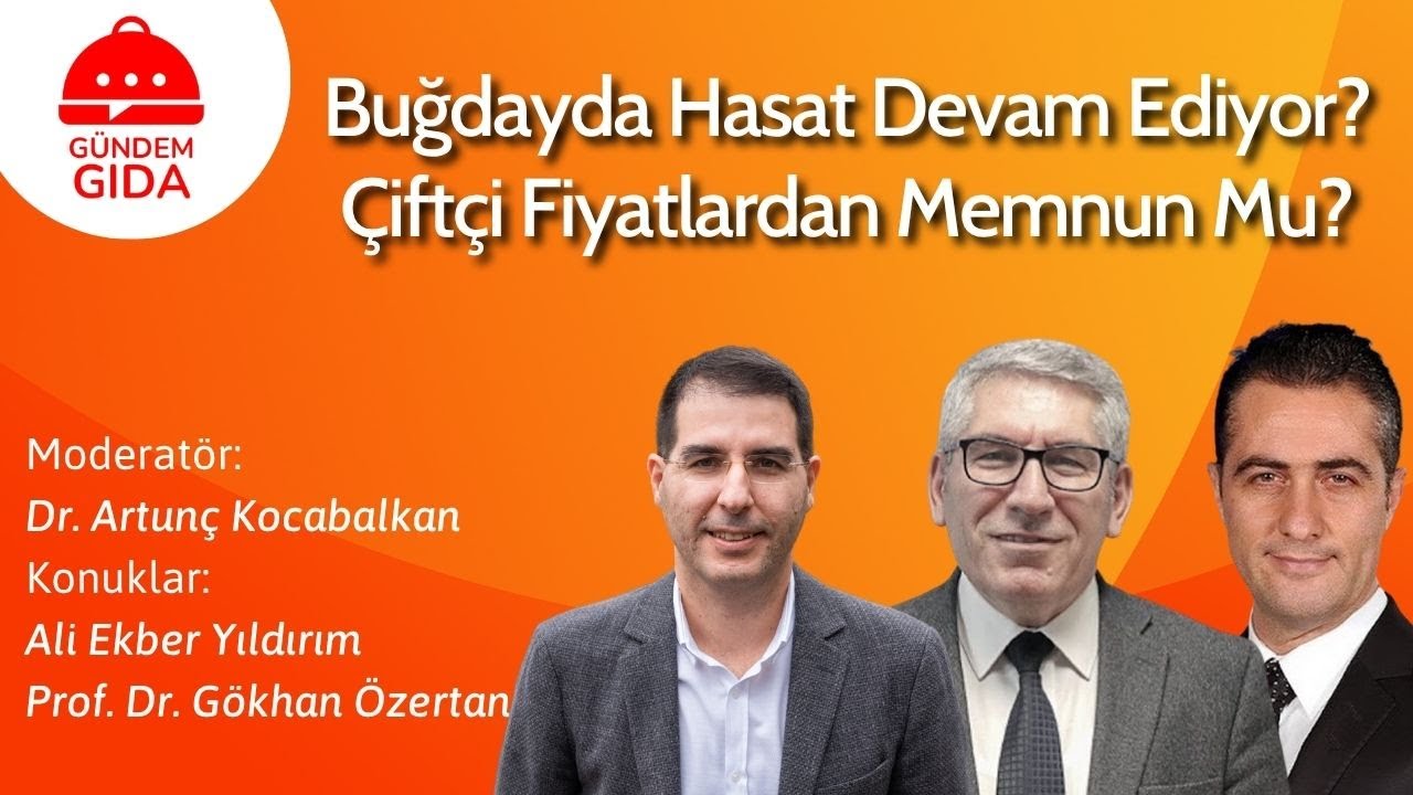Buğdayda Hasat Devam Ediyor?  Çiftçi Fiyatlardan Memnun Mu?
