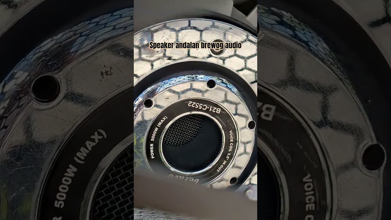 DENTUMAN B21-C5522‼️#carnival #soundsystem #soundhoreg #brewogaudio #fypシ゚viral