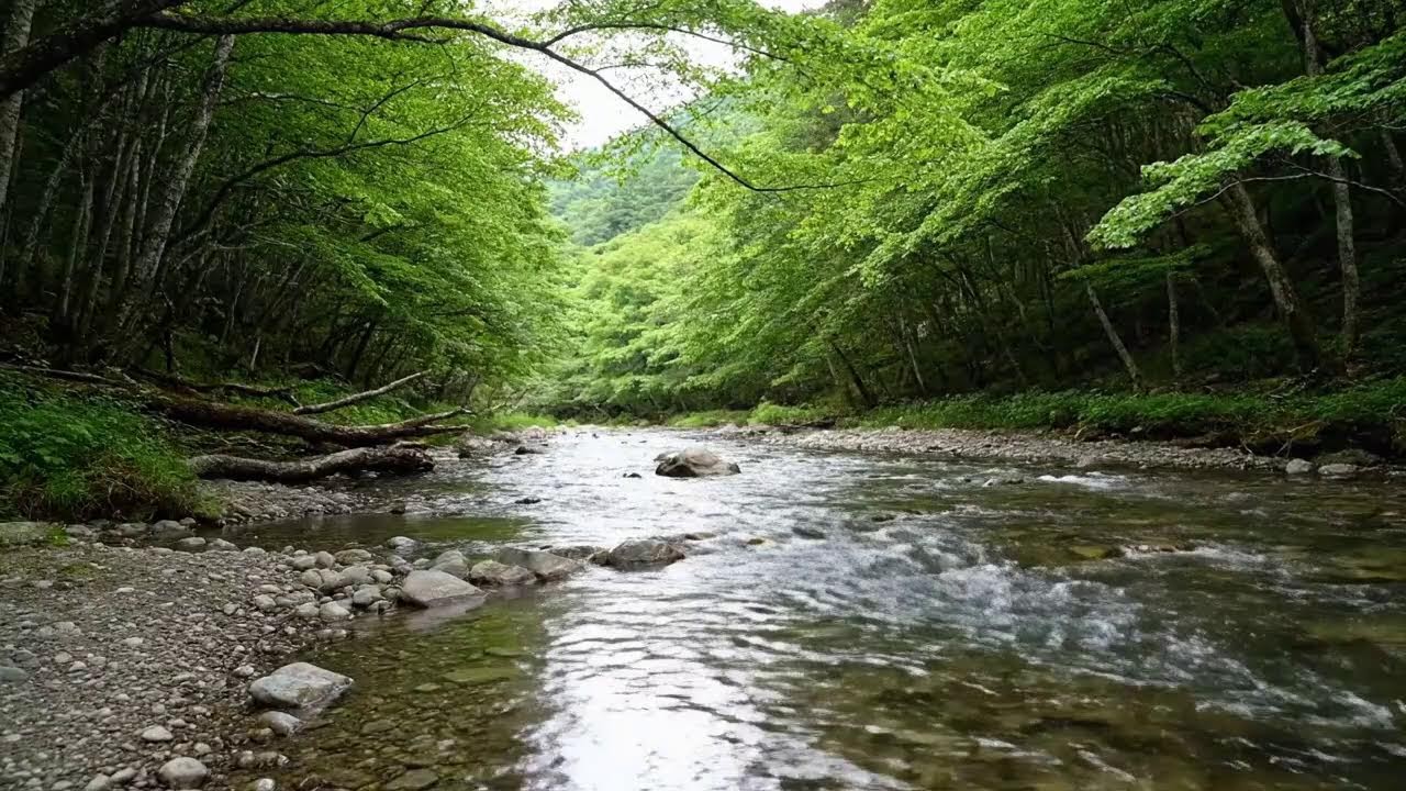 💤 Waterfall Sounds for Sleeping, Gentle River Flow for Relaxation & Anxiety Stress Relief
