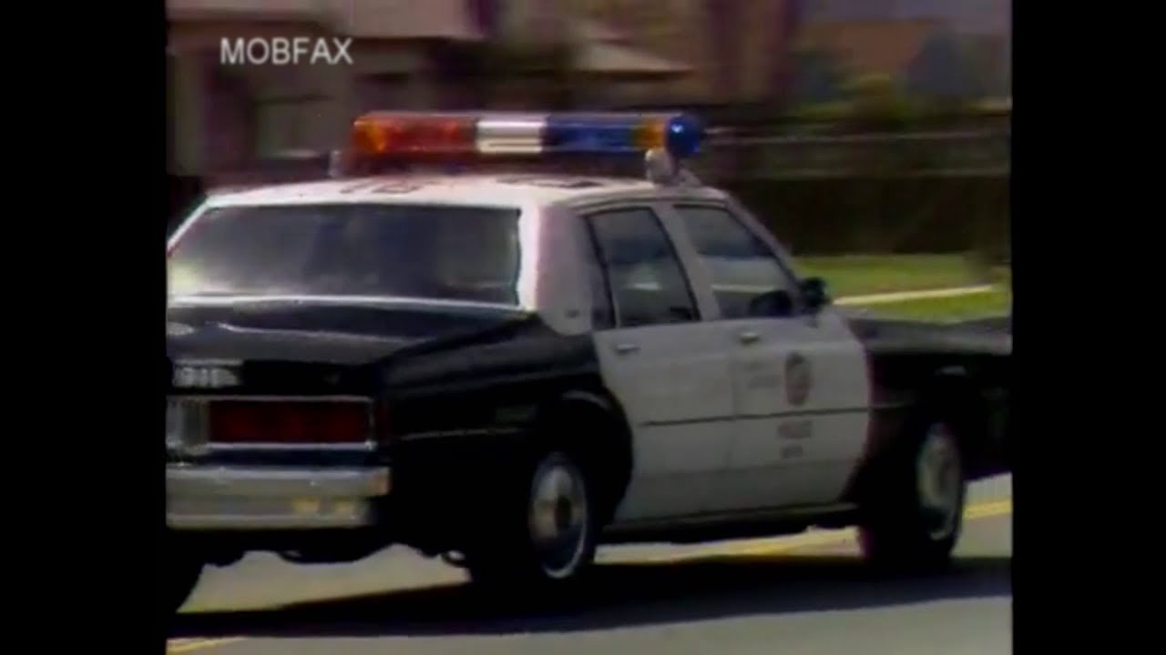 Special Report: LAPD Blues (1991)