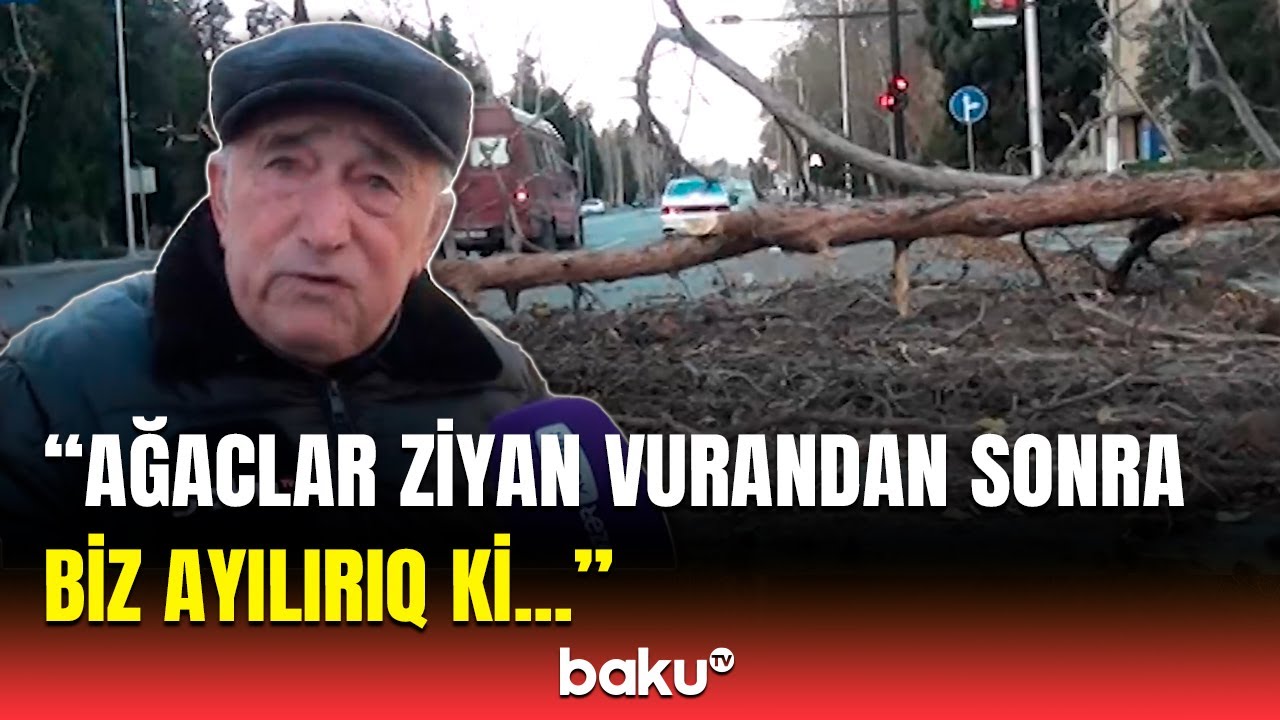 Güclü külək Mingəçevirdə aləmi bir-birinə vurdu | Sakinlər hər şeyi danışdı