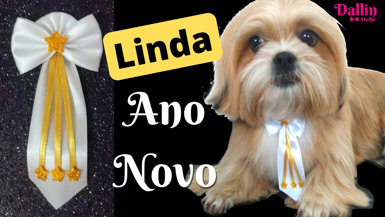Como Fazer Gravata Pet Luxo ANO NOVO (Passo a Passo)