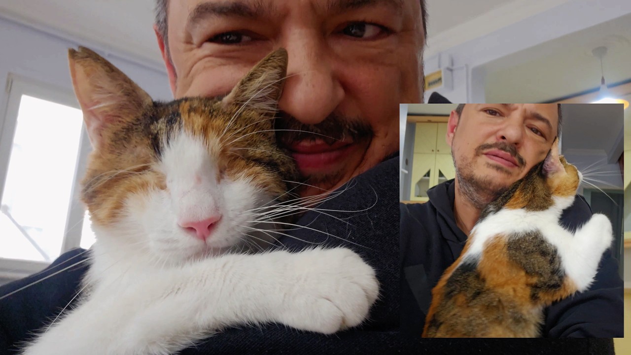 When You Rescue a Cat That Has Lost Everything, Love Knows No Bounds.