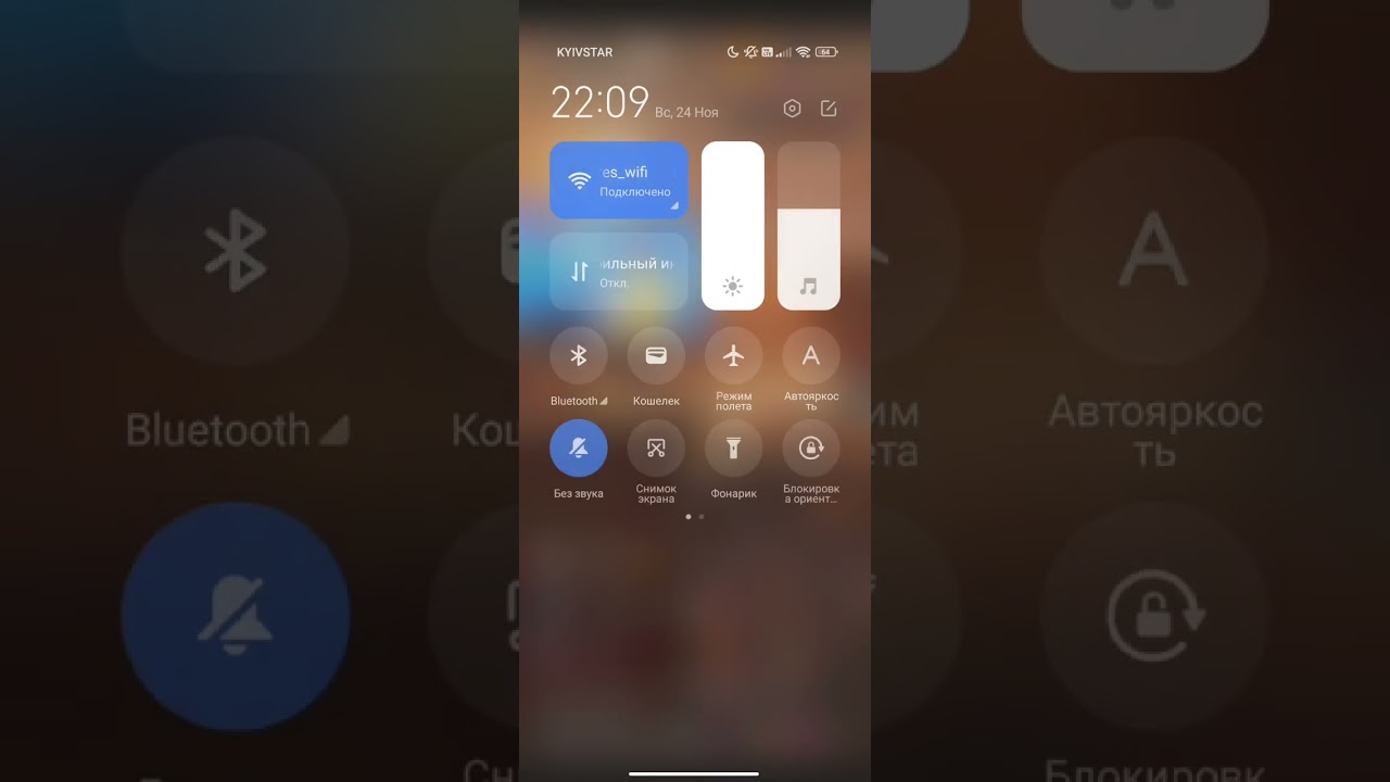 богар дилес келел