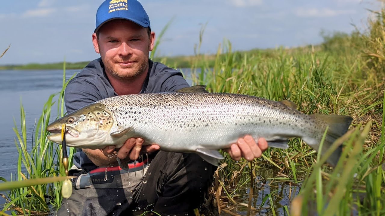 Strong Skjern Seatrout 😮 - Meerforelle im Fluss beim Lachsangeln in Dänemark