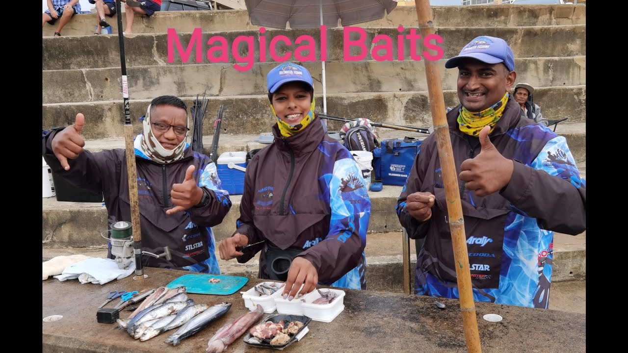 Margate Pier Fishing, Team Success