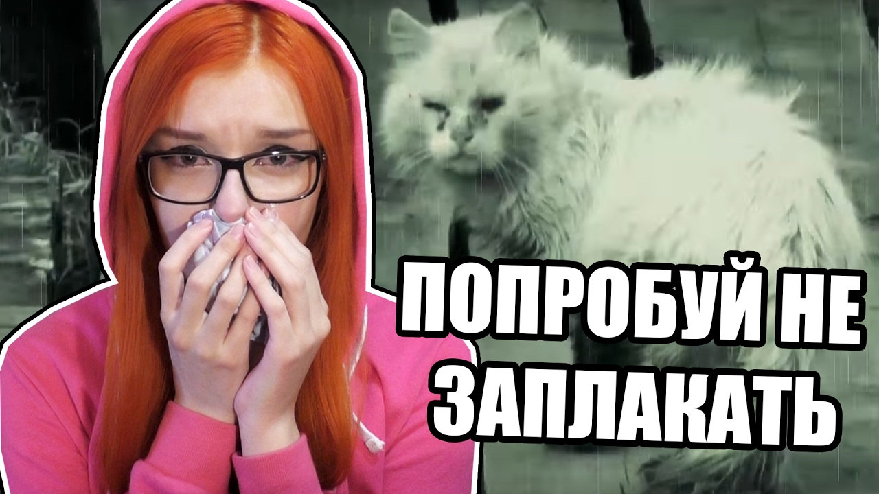 ПОПРОБУЙ НЕ ЗАПЛАКАТЬ ЧЕЛЛЕНДЖ | УРОДЛИВЫЙ КОТ | TRY NOT TO CRY CHALLENGE