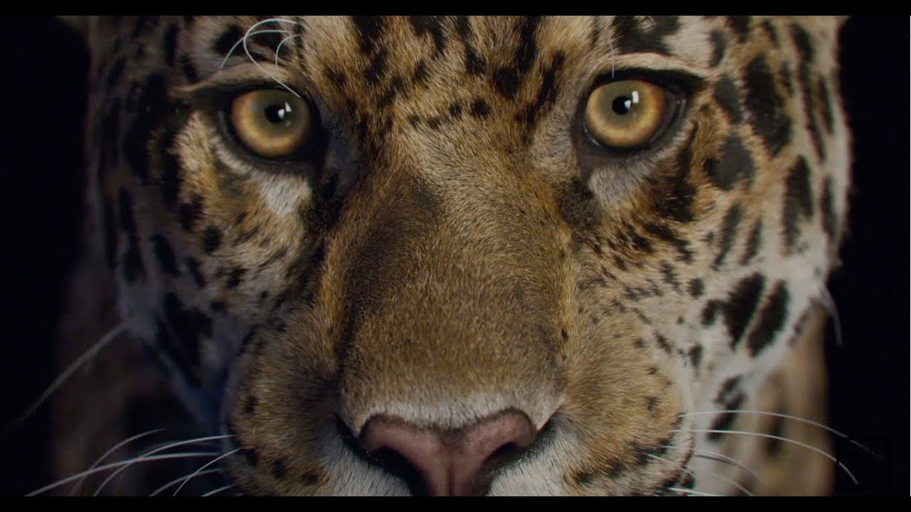 ftrack Studio customer showreel 2019