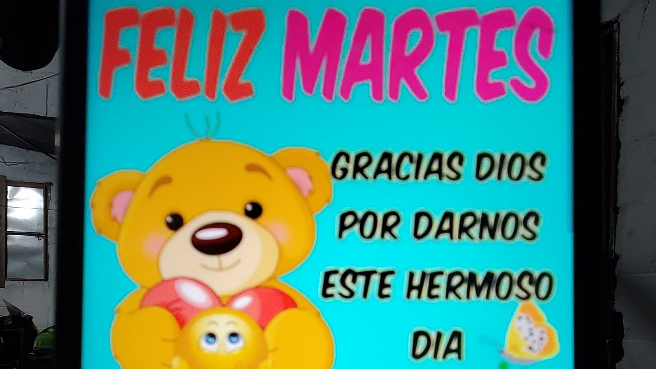 Amor a la musica sv está en vivo bienvenidos 🤗 🎶 🙌 💕 ✨️ ❤️ 🤗